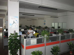 武漢灝信信息技術(shù)服務(wù)圖冊 引領(lǐng)數(shù)字化轉(zhuǎn)型的專業(yè)力量